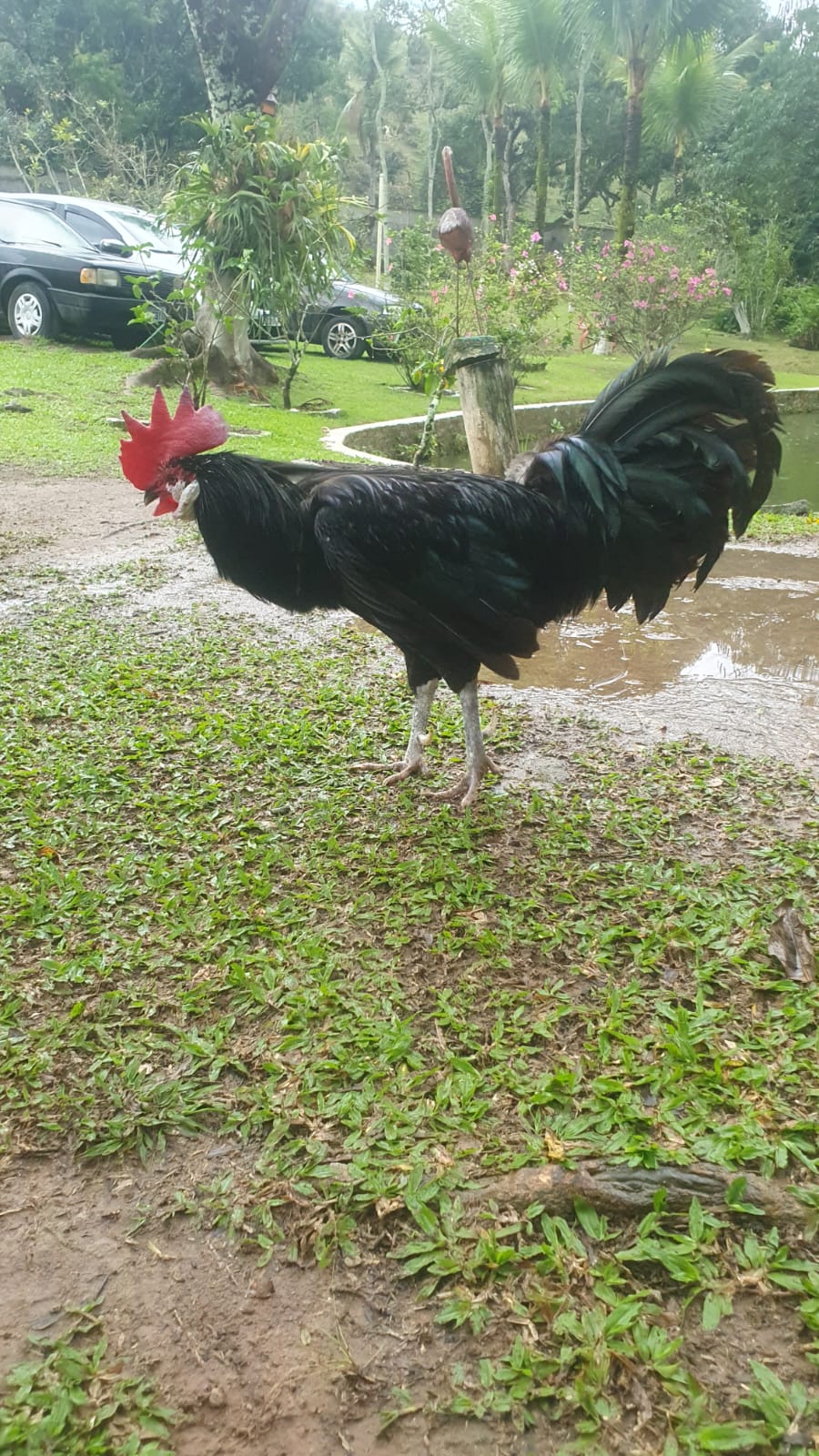 WhatsApp Image 2023-09-05 at 17.52.33